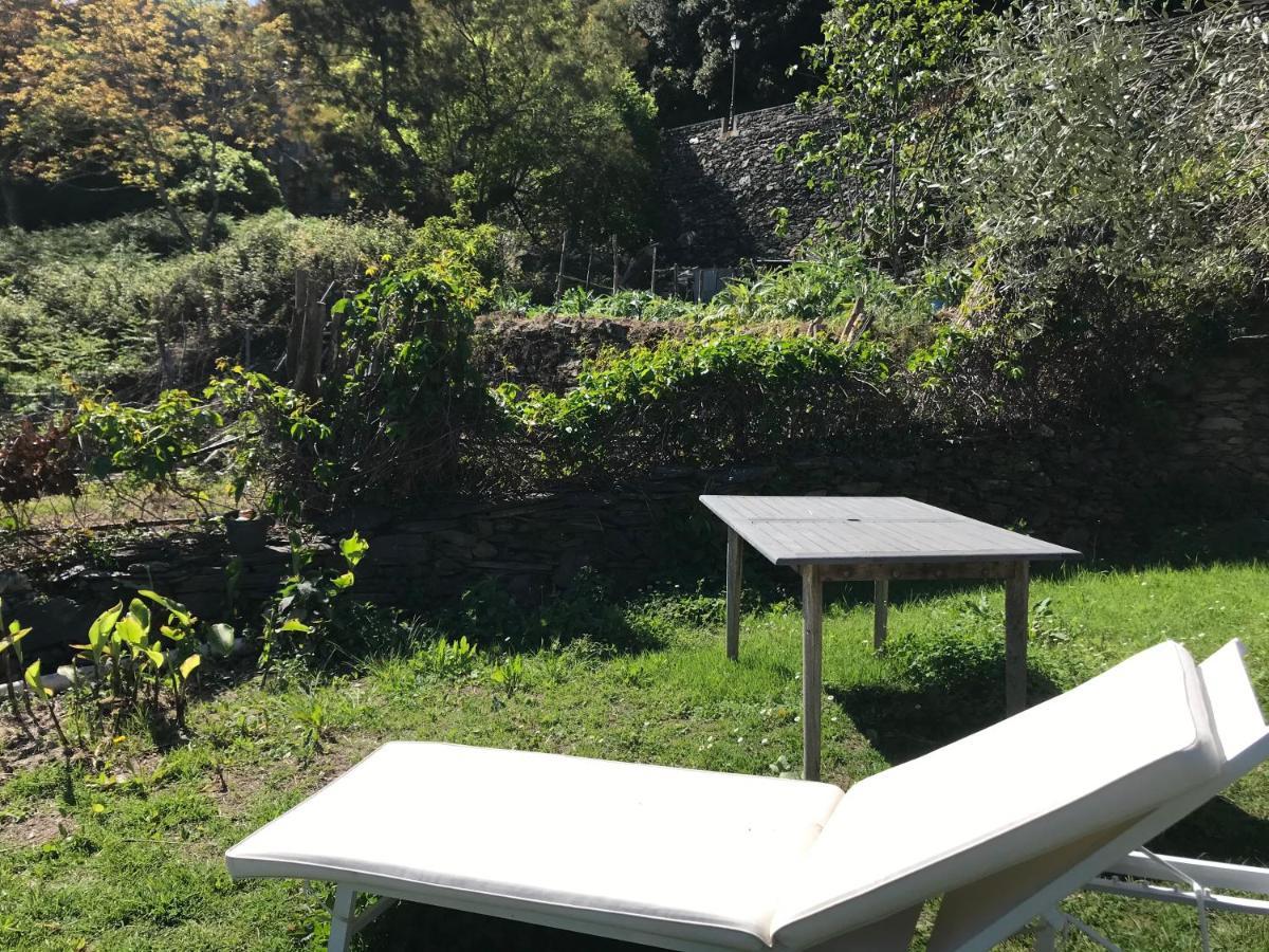 Maison De Charme Corse Sauvage Pietra-di-Verde Exteriör bild