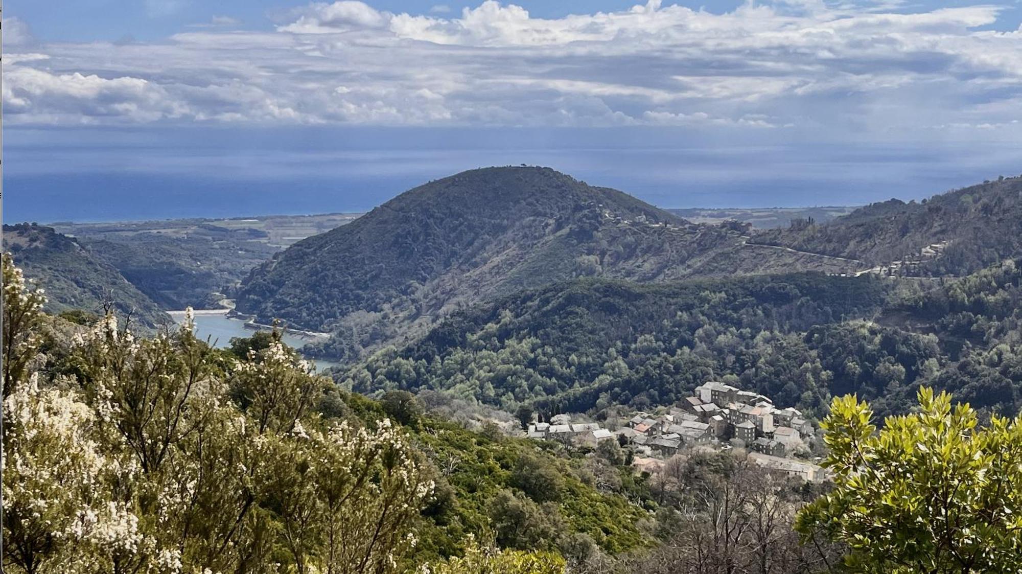 Maison De Charme Corse Sauvage Pietra-di-Verde Exteriör bild