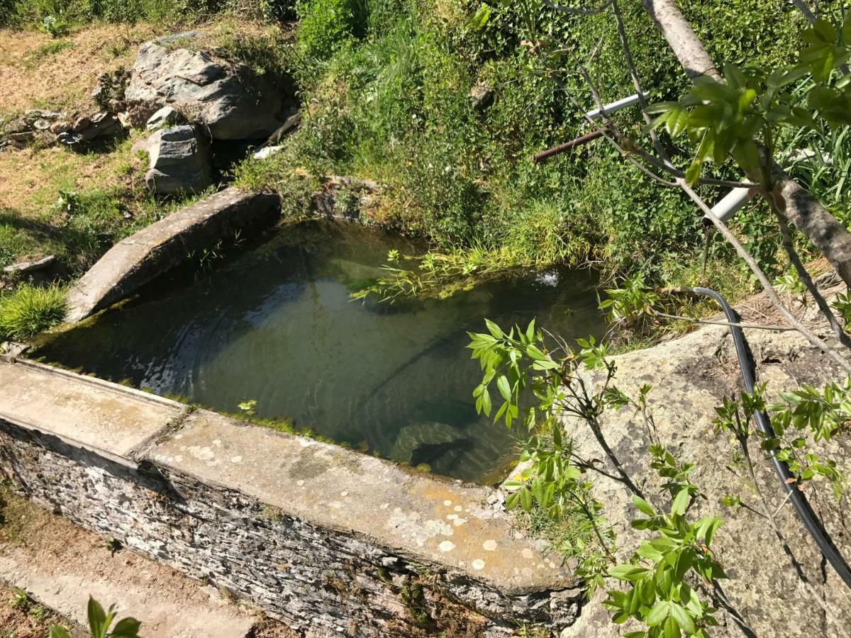 Maison De Charme Corse Sauvage Pietra-di-Verde Exteriör bild