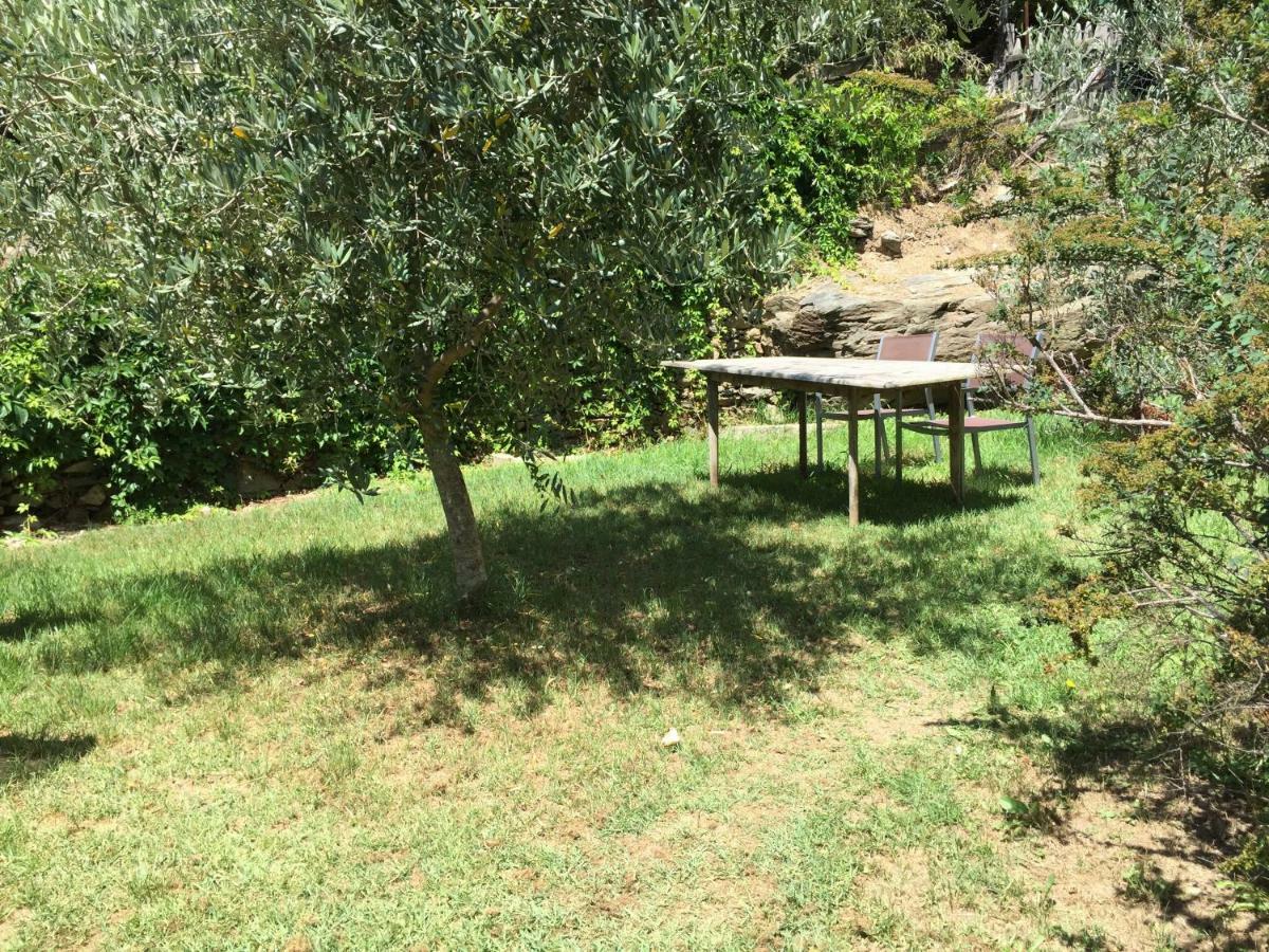 Maison De Charme Corse Sauvage Pietra-di-Verde Exteriör bild