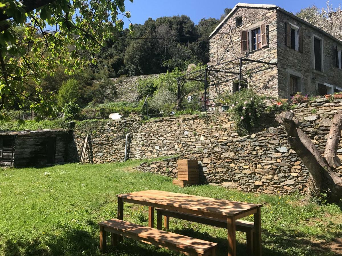 Maison De Charme Corse Sauvage Pietra-di-Verde Exteriör bild