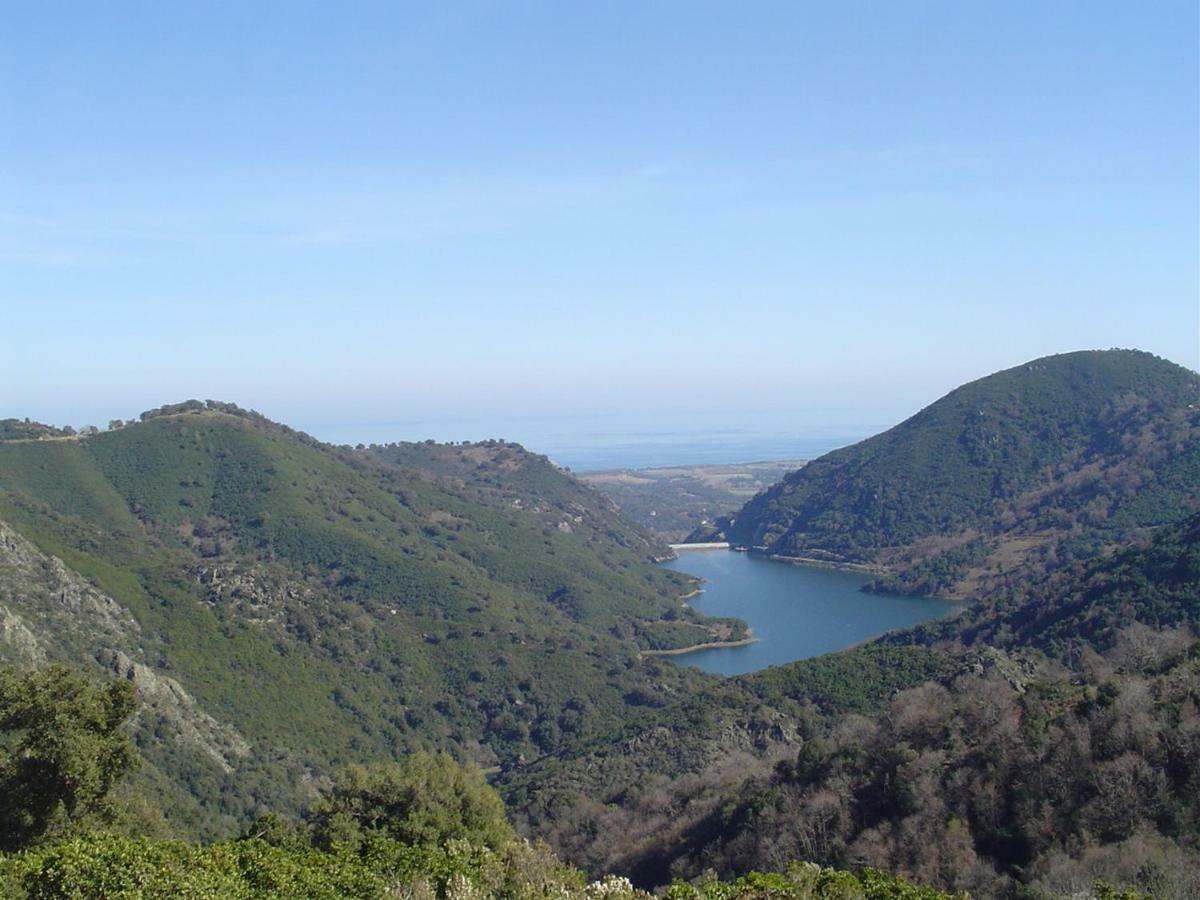 Maison De Charme Corse Sauvage Pietra-di-Verde Exteriör bild